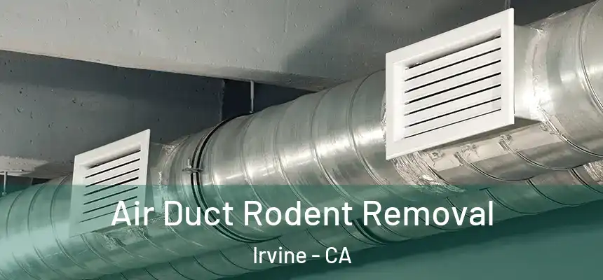  Air Duct Rodent Removal Irvine - CA