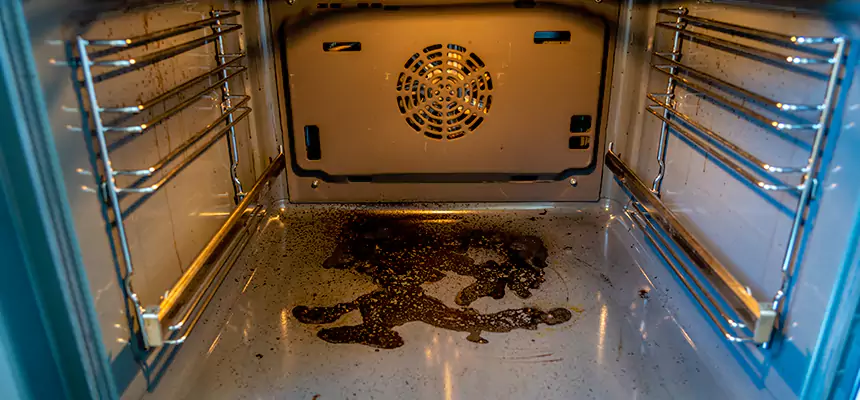 Our Dryer Vent Mold Cleaning Services in Irvine, CA