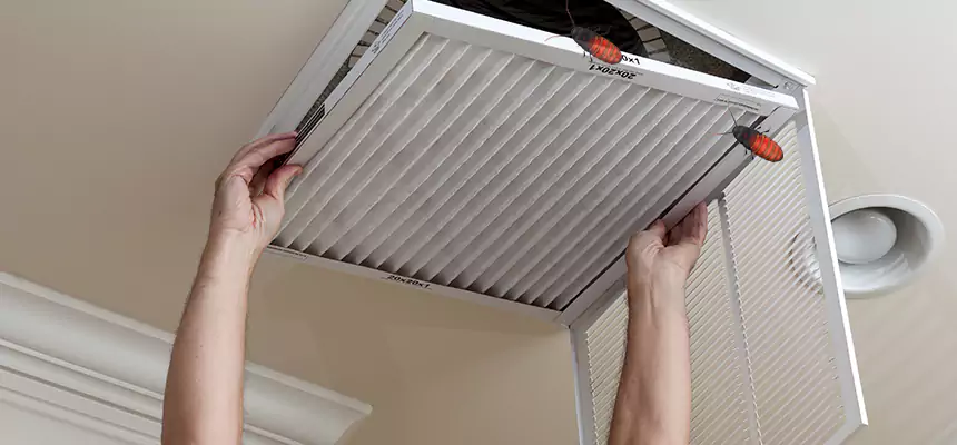 Our Insect Removal from Air Ducts Services in Irvine, CA