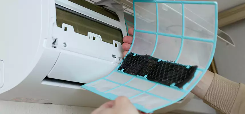 Gentle Ductwork Odor-Control Pet Dander Duct Cleaning in Irvine, CA