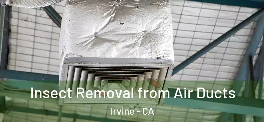 Insect Removal from Air Ducts Irvine - CA