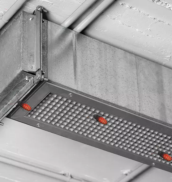 About Air Duct Cockroach Removal in Irvine, CA