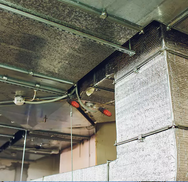 Why Homeowners & Businesses Trust Us Irvine, CA?