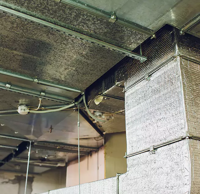 Why Homeowners & Businesses Trust Us in Irvine, CA?